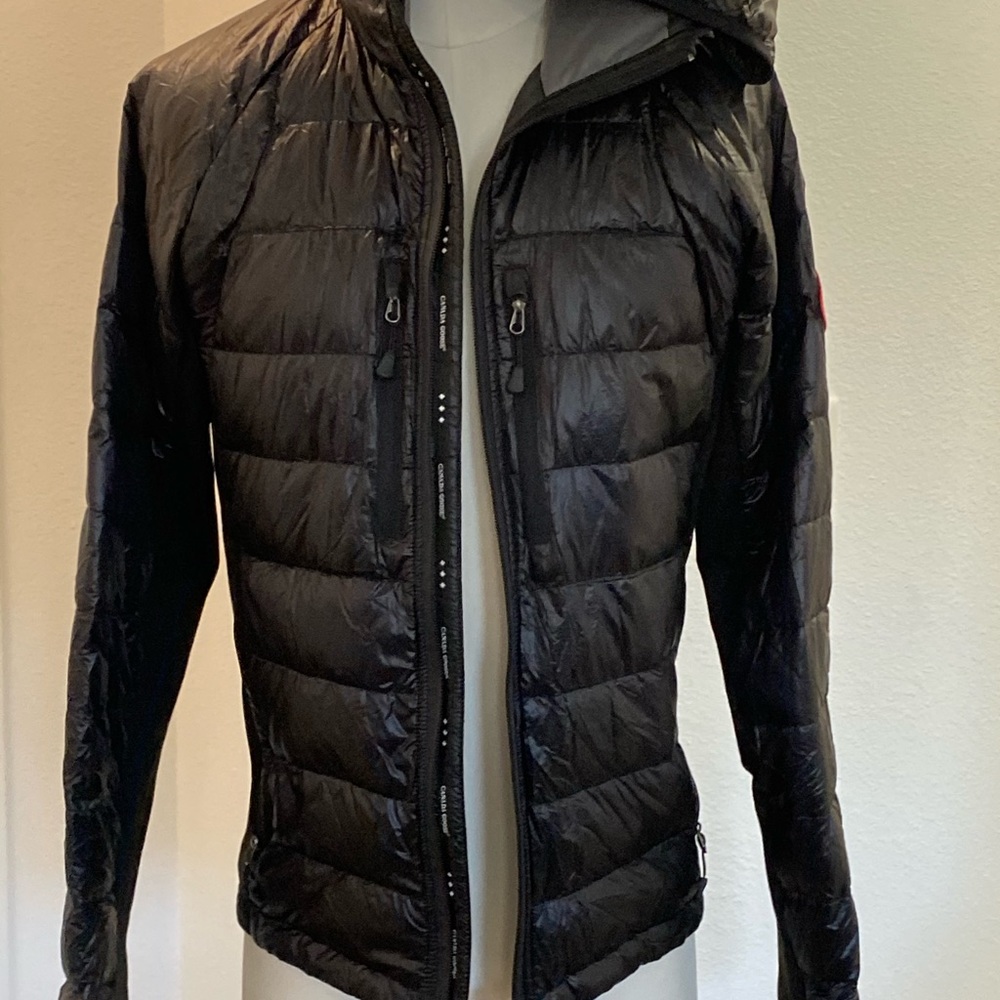 Canada goose size L.🌿🌿🌿